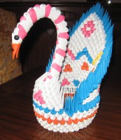 /album/galleria-foto-homepage/cigno-10-jpg2/